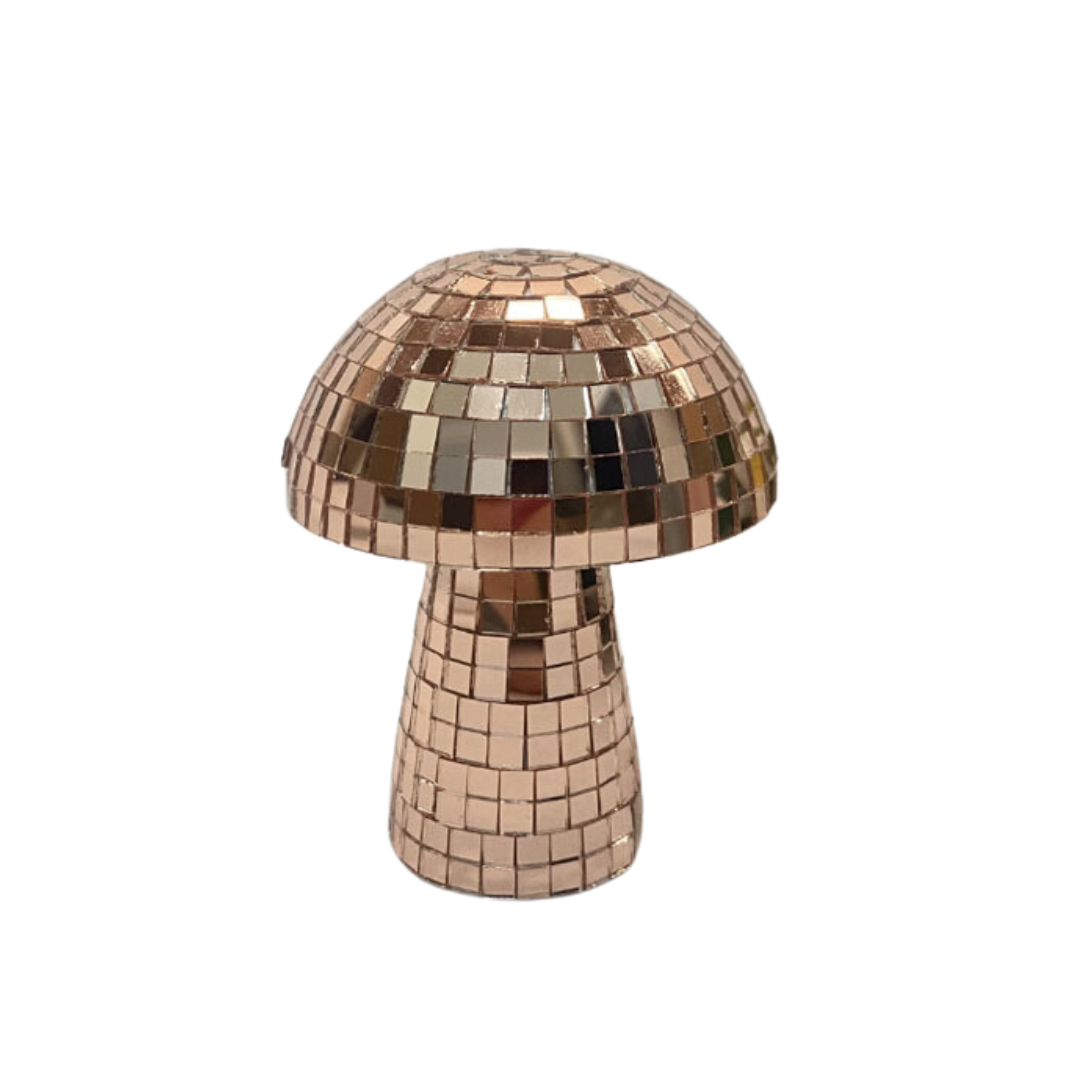 The Mirror Ball Mushroom